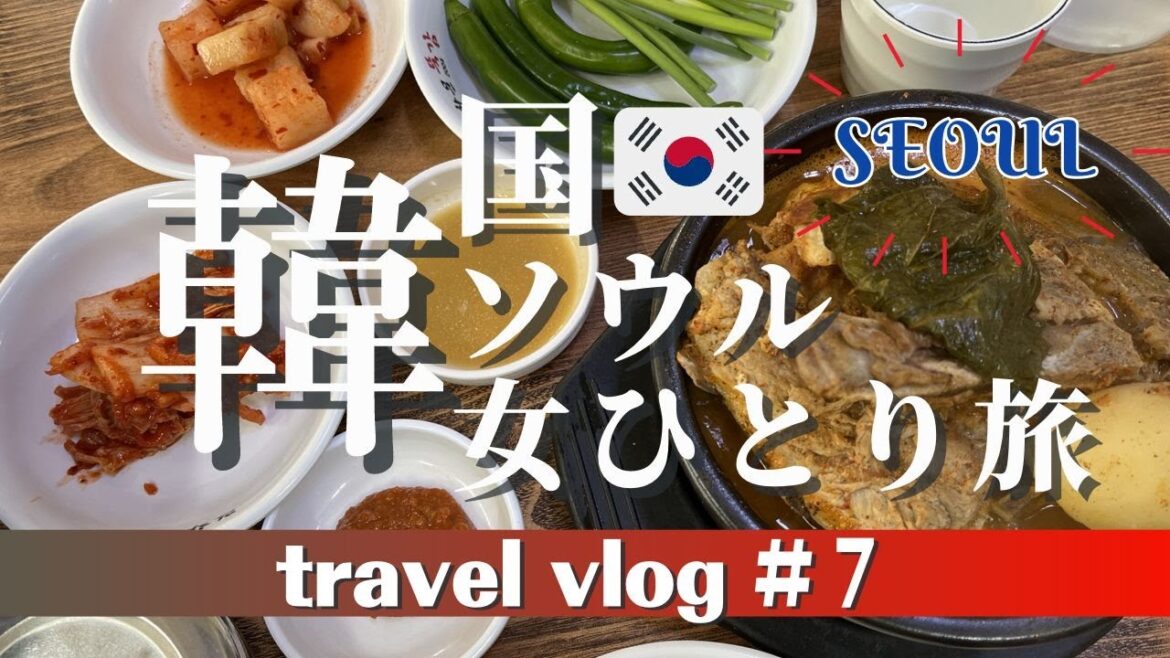 女ひとり韓国旅DAY7 ひとりサムギョプサル🐷/青瓦台/ユミの細胞たち/北村韓屋村/三清洞/ NYUNYU