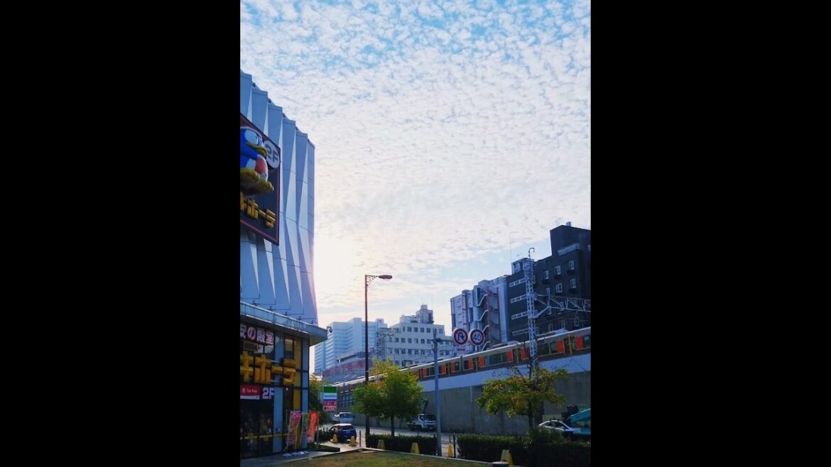 OSAKA                 #japan #travel #culture #shorts