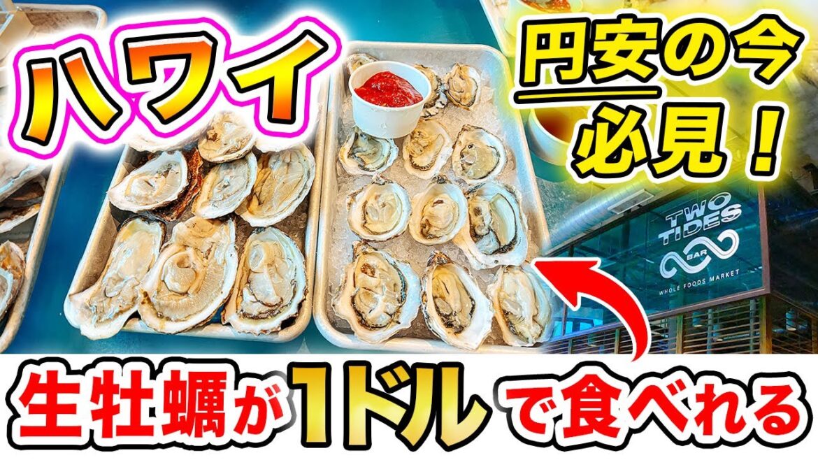 【ハワイのレストラン 】円安の今でも生牡蠣が1ドルで食べれちゃう❗️ワイキキ周辺のオススメ穴場スポットをご紹介〜 ハワイ旅行2023｜オイスターハッピーアワー