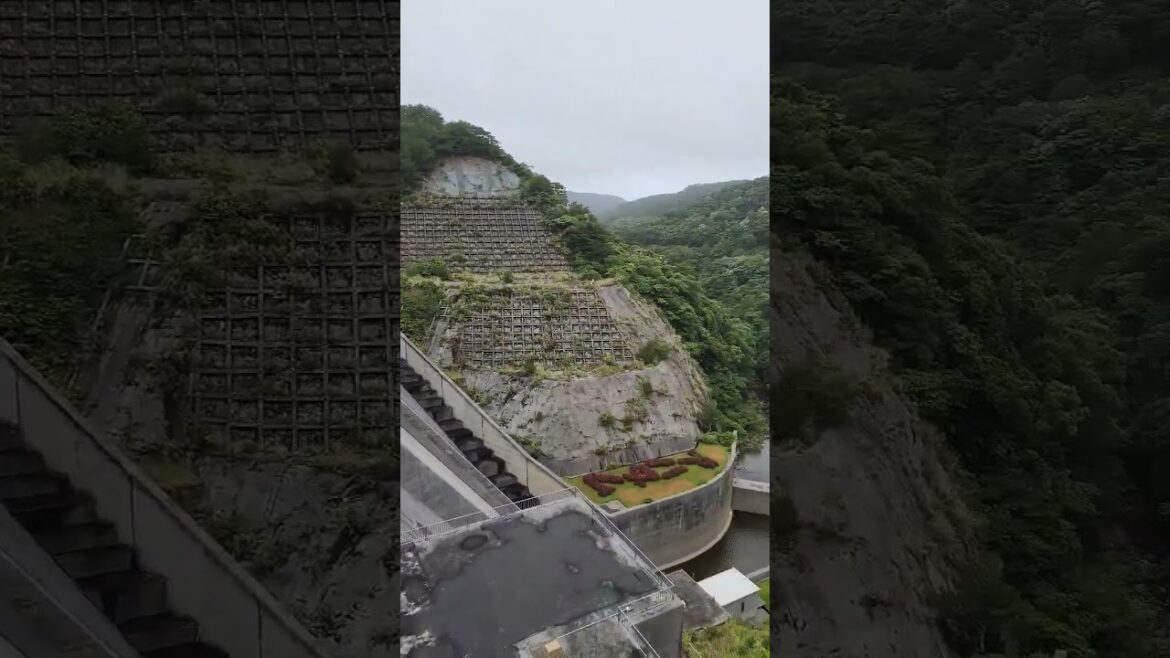 やんばるの安波脇ダム #shorts