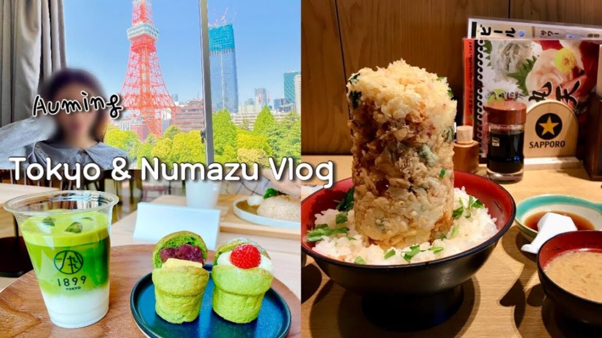 일본 도쿄 브이로그 [ENG] 회를 시켰는데 살아있는 생선 머리가 그대로💦나온 춤추는 사시미😂이자카야 타바쨩, 남치니 혼자 누마즈 여행, 도쿄타워 주변 산책 등 일본직장인 일상