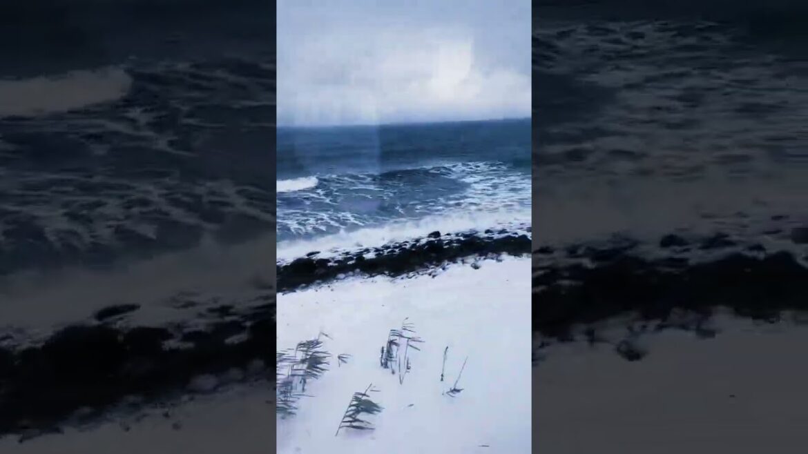 Winer and Train #sapporo #snow #winter  #japan #tokyo #2023 #like #subscribe #日本 #帯你去旅行 #日本旅行