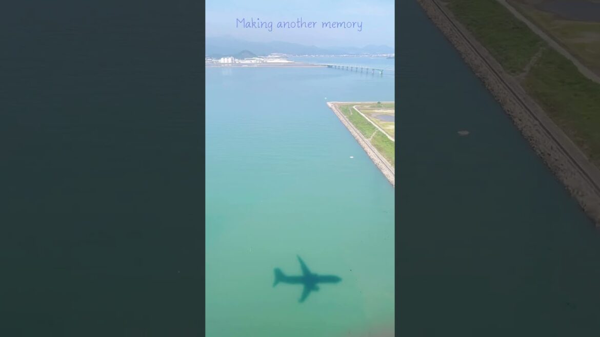 새벽여행..! #shorts #기타큐슈 #쿠사미 #큐슈 #일본여행 #혼자놀기