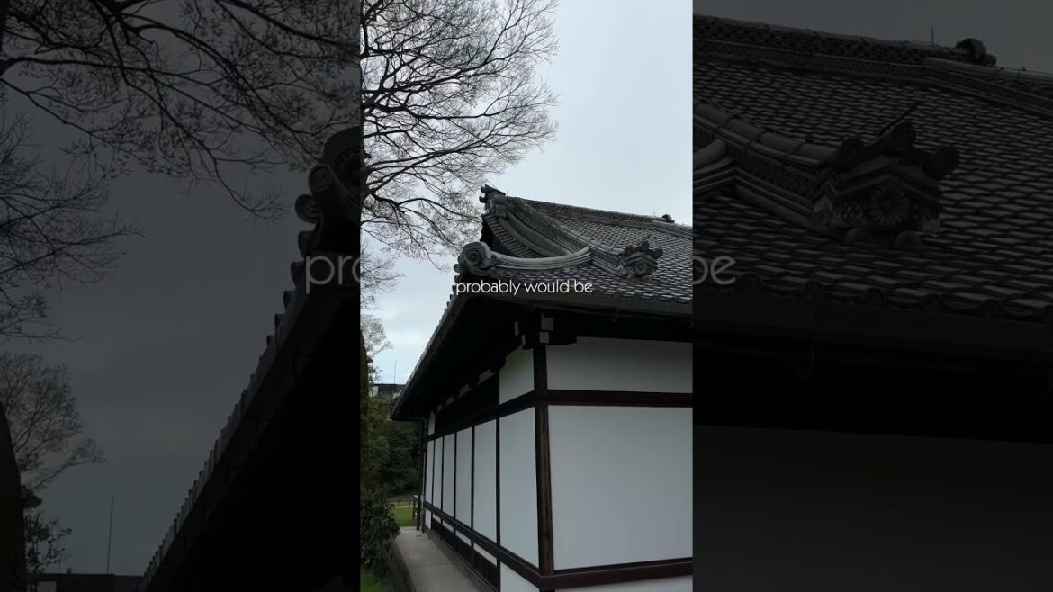 Old Castle in Japan #2023 #japantravel #travel #kyoto #trending #explore #motivation #thingstodo