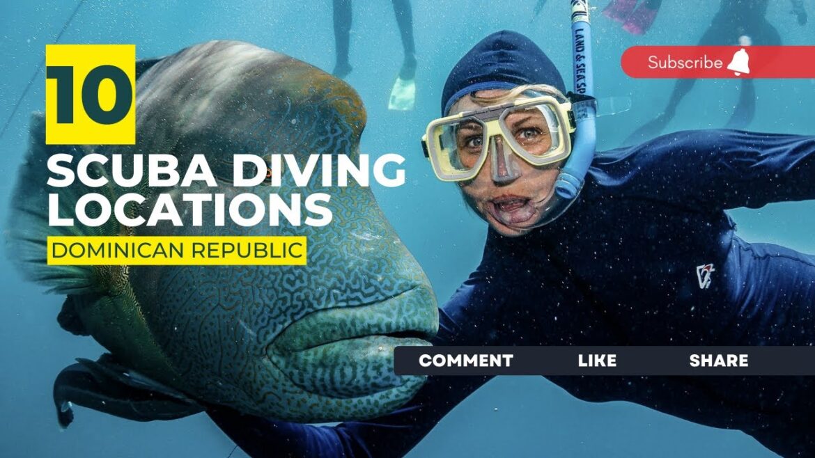 [2023] Dominican Republic Dive Sites That Will Blow Your Mind: Top Scuba Diving Locations