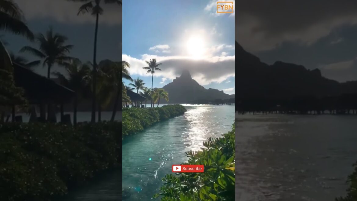 Japan Tokyo   Popular gas station brands JXTG Nippon Oil & Energy ENEOS, Idemitsu, Shell