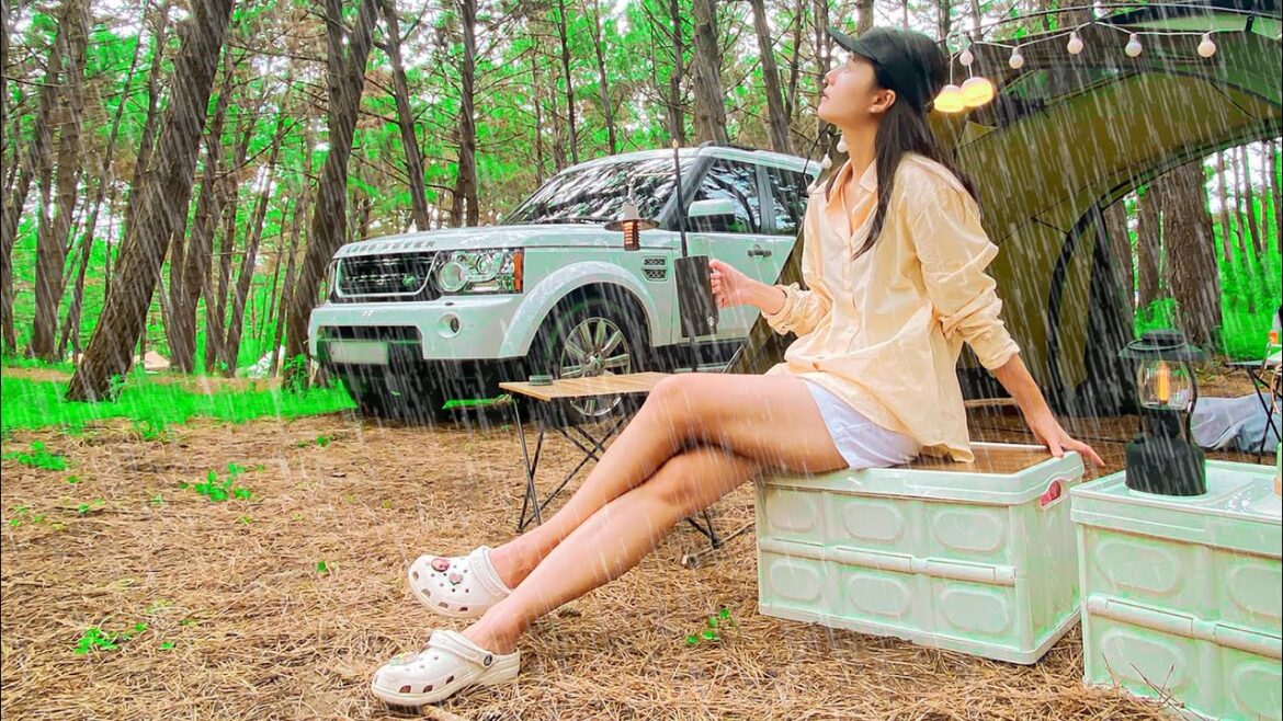 SUB) 쉽지 않은 차박 캠핑ㅣ태안 석갱이 오토캠핑장ㅣ우중캠핑ㅣ차박캠핑ㅣ우중차박ㅣ바닷가차박ㅣ바다캠핑장ㅣ캠핑 브이로그ㅣGirl camping SUB) 쉽지 않은 차박 캠핑ㅣ태안 석갱이 오토캠핑장ㅣ우중캠핑ㅣ차박캠핑ㅣ우중차박ㅣ바닷가차박ㅣ바다캠핑장ㅣ캠핑 브이로그ㅣGirl camping