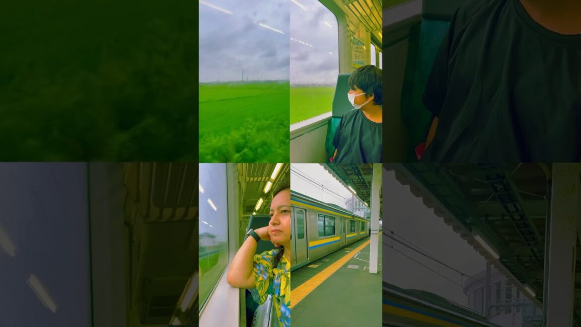 A day in Japan, chiba#minivlog#shorts