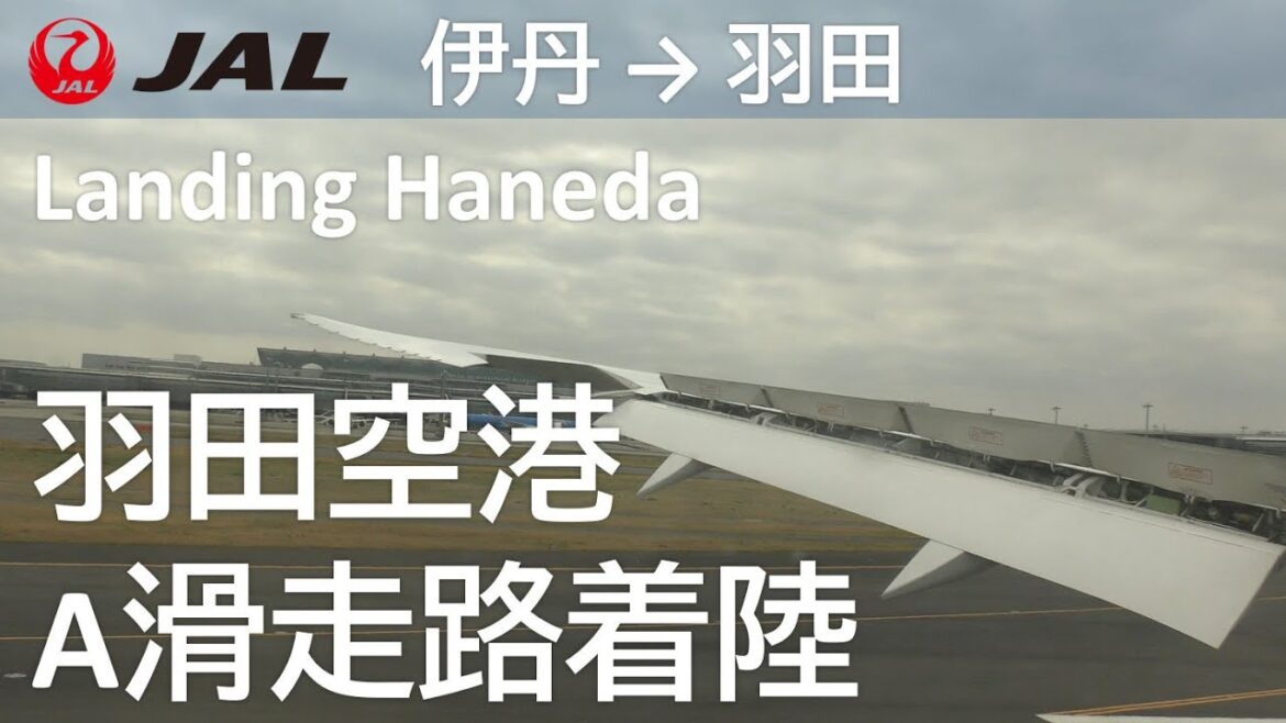 【羽田空港A滑走路着陸】JAL114便、大阪伊丹空港→羽田空港 Landing at Haneda Airport RwyA