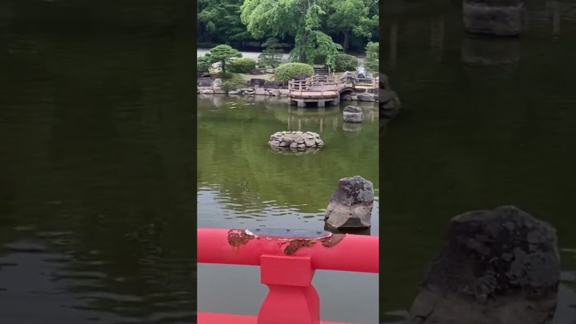 You will get your fill of nature and culture at Sohonzan Shrine on our private tours.