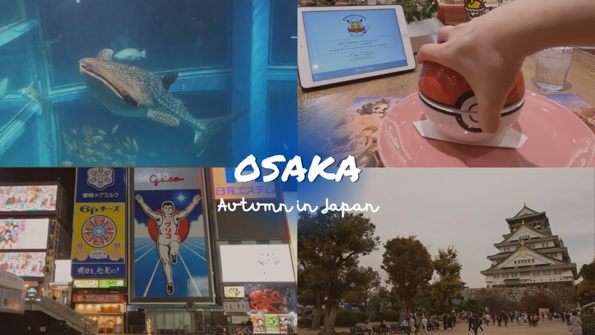OSAKA (Aquarium, Wagyu, Omakase, Pokemon) - Autumn in Japan