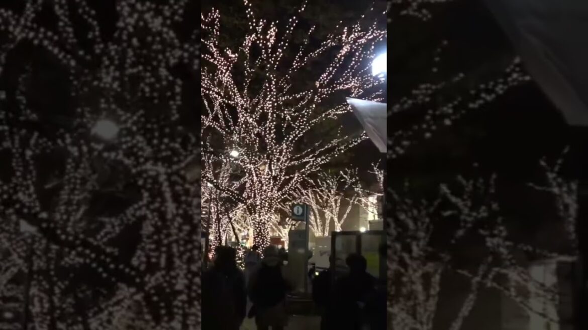 Illuminations #japan #japanese #japantrip #japanesegirl #japantravel #japanphoto #japaneseculture