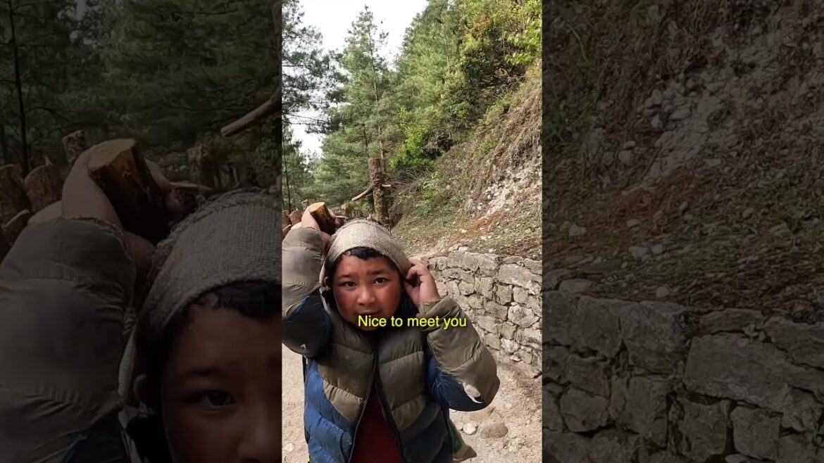 Special Nepali Kid in The Mountains Trekking 🇳🇵
