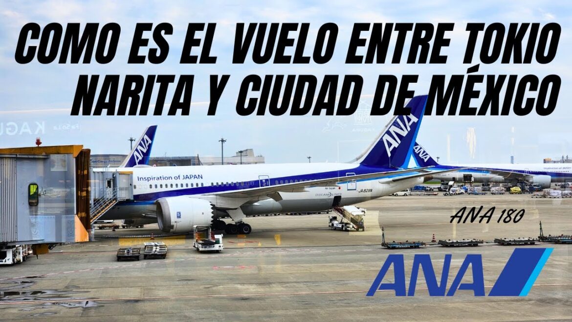 Vuela desde TOKIO NARITA hasta la CIUDAD DE MÉXICO Vuela desde TOKIO NARITA hasta la CIUDAD DE MÉXICO