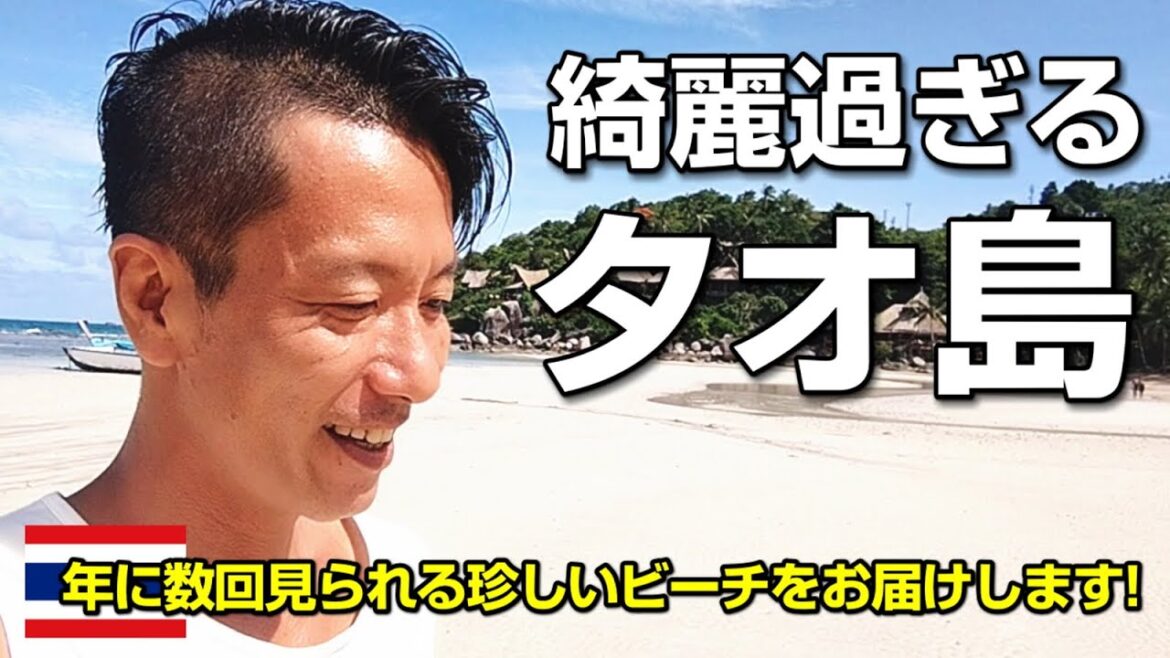 最高に綺麗なタイのタオ島で年に数回しか見られない珍しい現象！