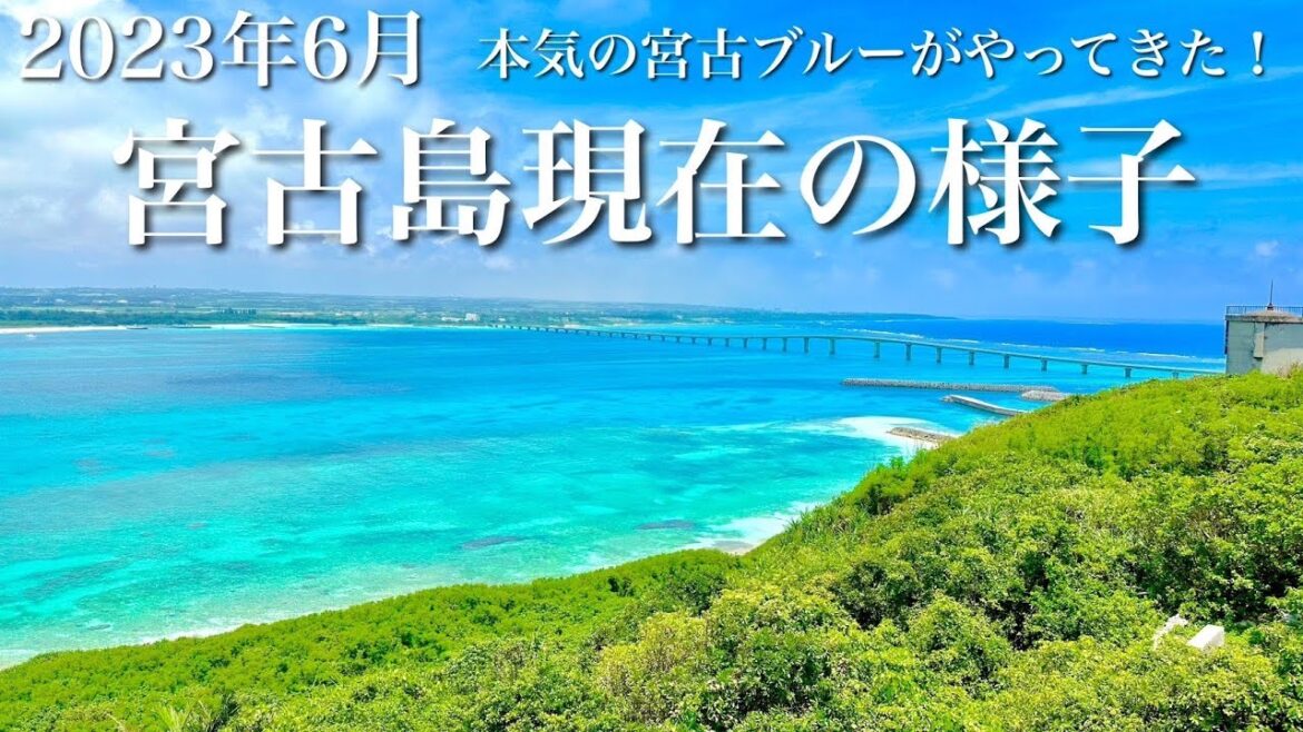 【梅雨明け】2023年6月の宮古島最新リポート!マンゴー、ヒルトン、シュノーケル、最新グルメ 【梅雨明け】2023年6月の宮古島最新リポート!マンゴー、ヒルトン、シュノーケル、最新グルメ