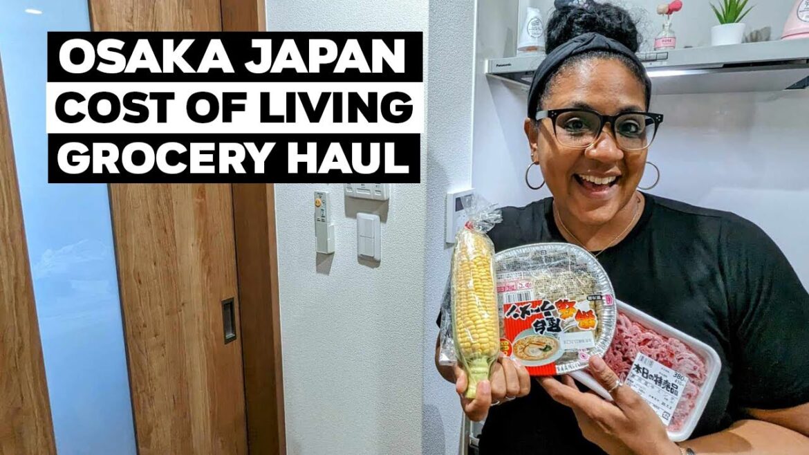 Osaka Japan Cost Of Living Grocery Haul