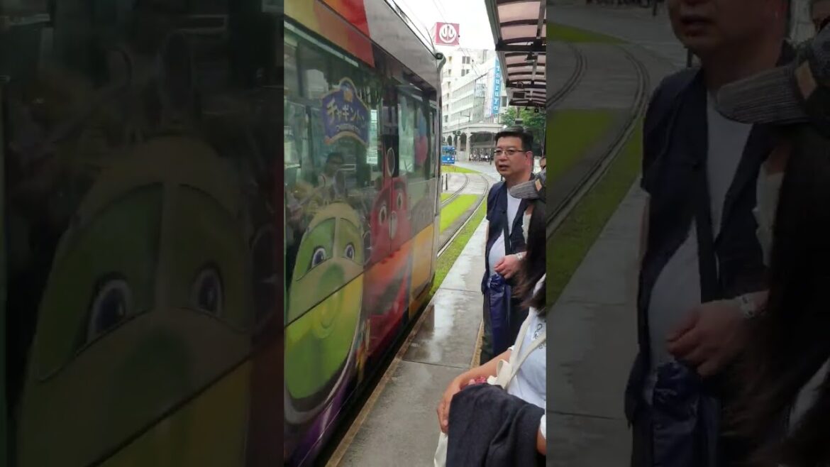 ขึ้นรถรางตามหา คุณหมีคุมะมง | 324Home