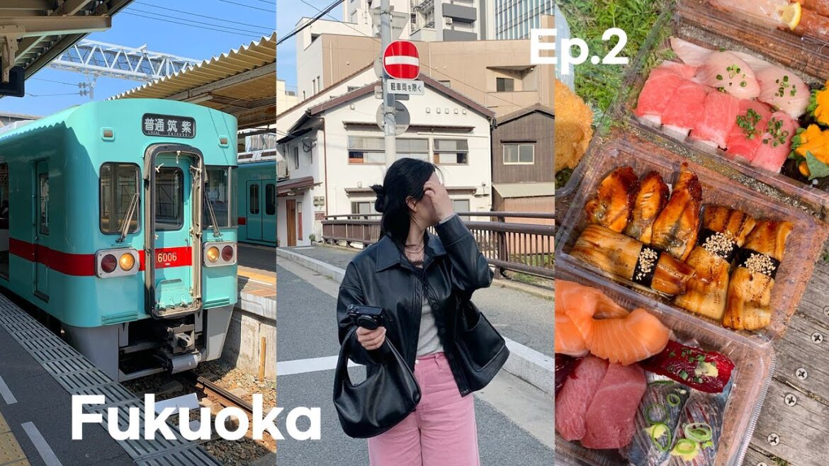 EP.2 3박4일 후쿠오카 여행 브이로그🇯🇵엥 여기가 왜 맛집?? | 가라토시장 | 캐널시티 꿀잼 | 오니츠카타이거 멕시코66 실버 | 토피파크 | 텐진 현지인 맛집 EP.2 3박4일 후쿠오카 여행 브이로그🇯🇵엥 여기가 왜 맛집?? | 가라토시장 | 캐널시티 꿀잼 | 오니츠카타이거 멕시코66 실버 | 토피파크 | 텐진 현지인 맛집