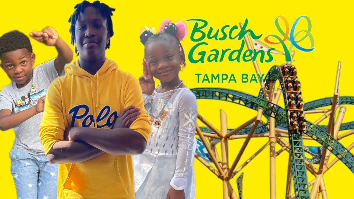 BUSCH GARDENS TAMPA, FL RIDING ROLLER-COASTERS BUSCH GARDENS TAMPA, FL RIDING ROLLER-COASTERS