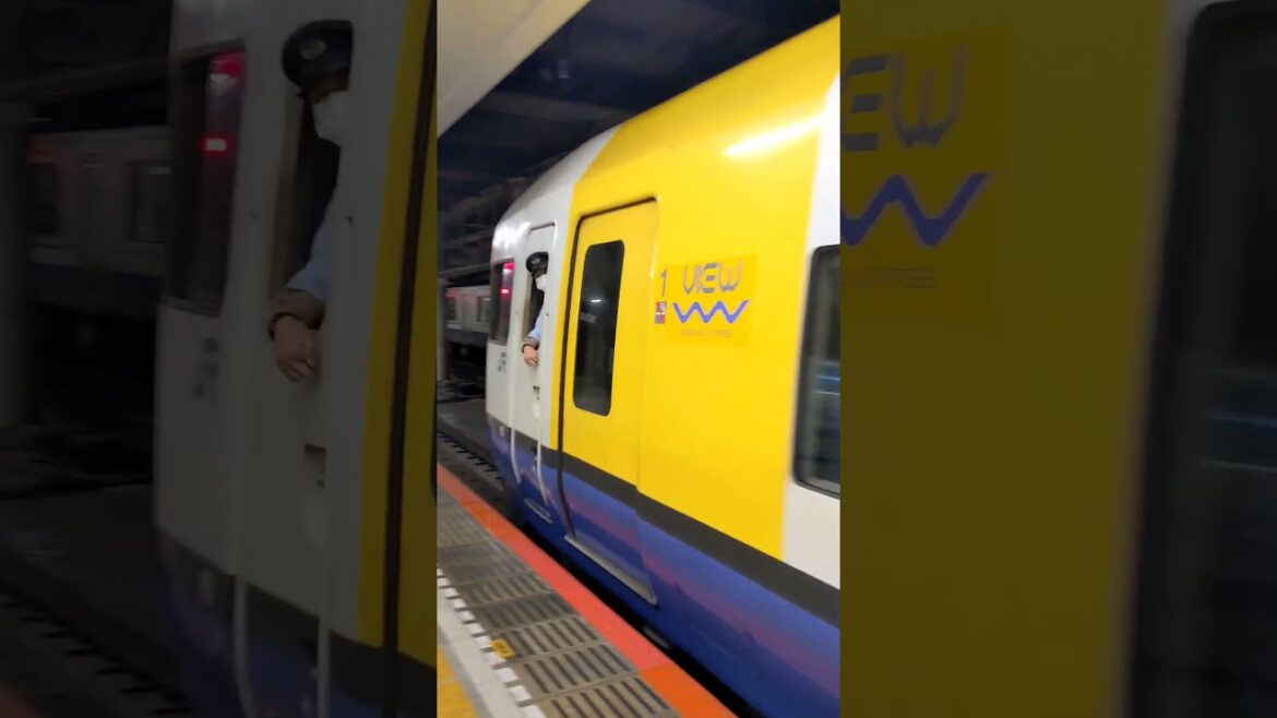 【特急】しおさいE255 Express Shiosai, series E255 #旅の道草 #shorts #鉄道 #train #japan #travel #旅行 #chiba