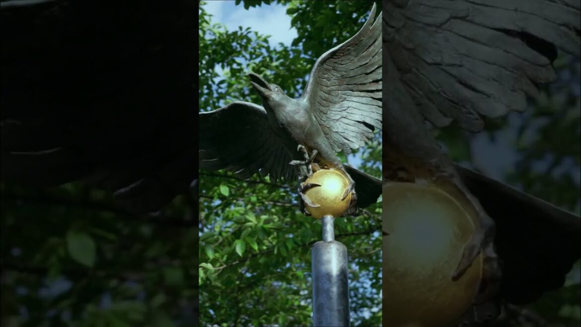 Wakayama Great Torii | Torii Whispers #japan #torii #japanvlog #japaneseculture #japantrip