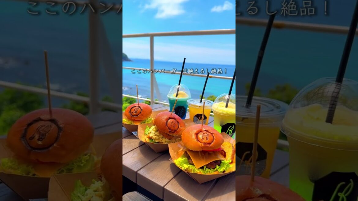 【鹿児島カフェ】鹿児島で1番海が綺麗に見えるカフェ#shorts 【鹿児島カフェ】鹿児島で1番海が綺麗に見えるカフェ#shorts