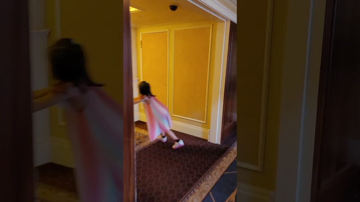 Tokyo DisneySea Hotel MiraCosta – 東京ディズニーリゾート (東京迪士尼海洋觀海景大飯店) Tokyo DisneySea Hotel MiraCosta - 東京ディズニーリゾート (東京迪士尼海洋觀海景大飯店)