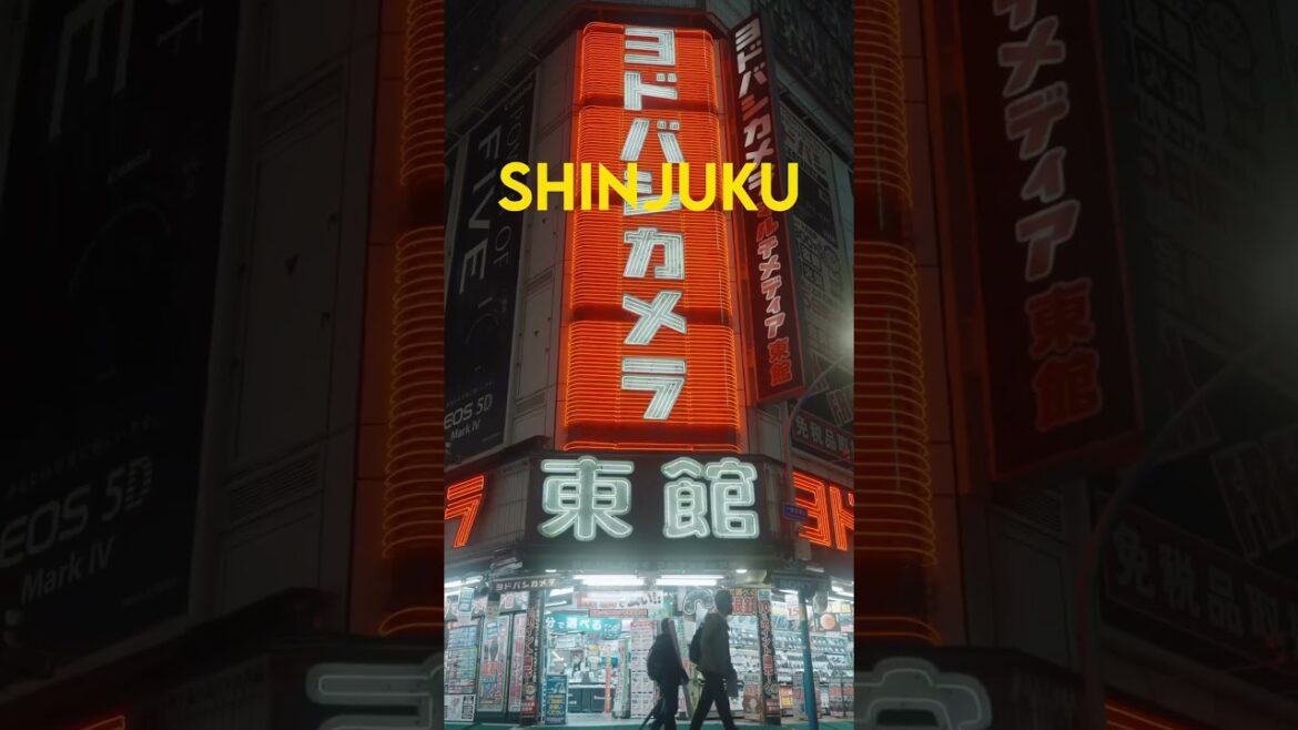 Shinjuku | Torii Whispers #japantravel  #japanvlog  #japan #japaneseculture  #japanlife  #shinjuku