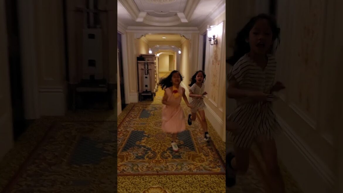 tokyo disneyland hotel (東京迪士尼樂園大飯店) tokyo disneyland hotel (東京迪士尼樂園大飯店)