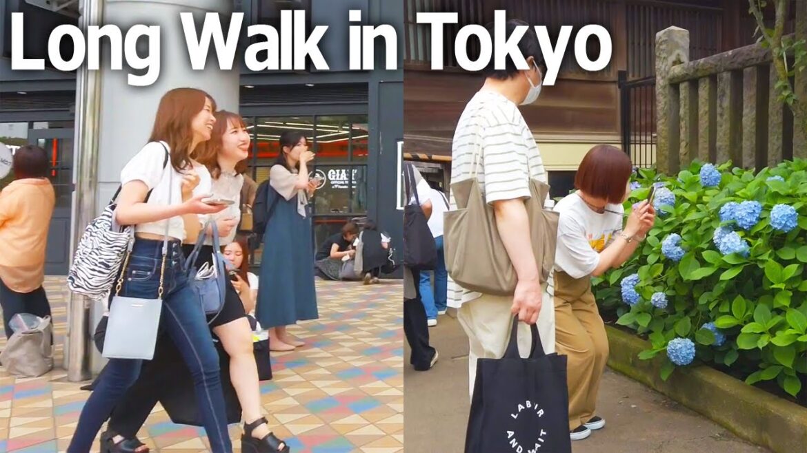 Tokyo Walking Tour - From Iidabashi to Komagome. Iris, hydrangea, women's gathering♪ (June 2023)