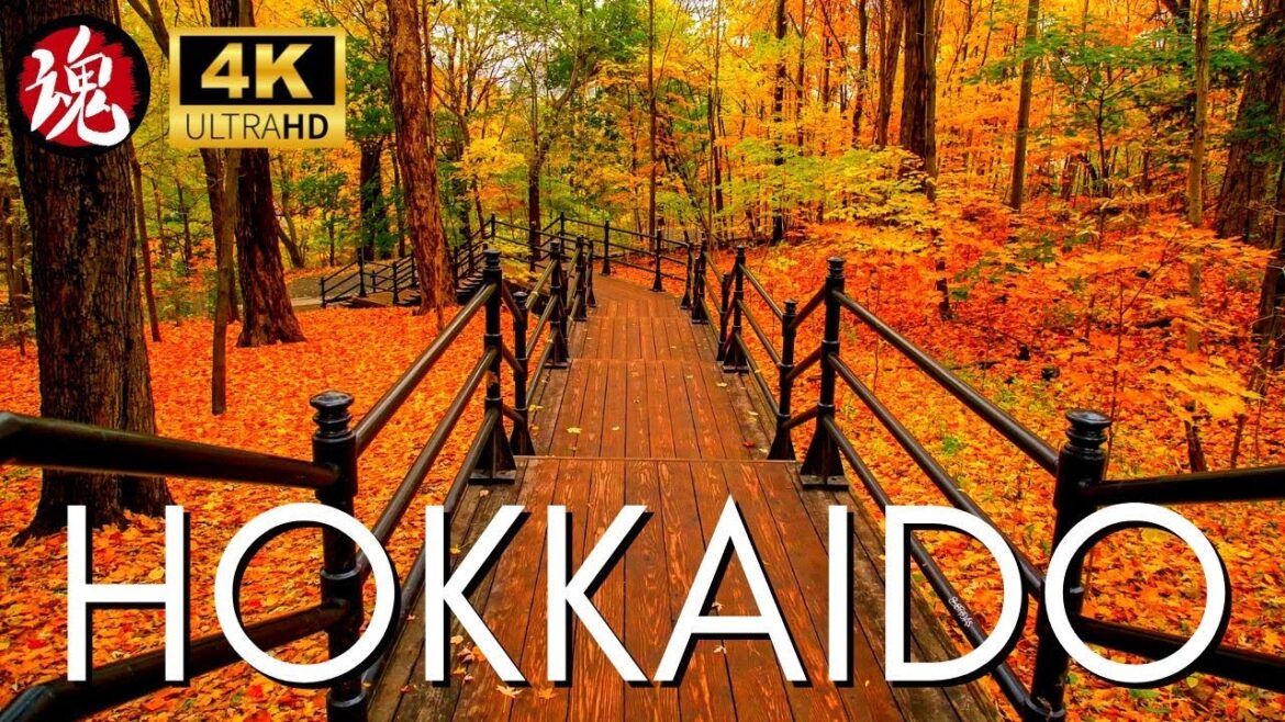 Beautiful Fall Colors Japan | Sapporo Hokkaido Beautiful Fall Colors Japan | Sapporo Hokkaido