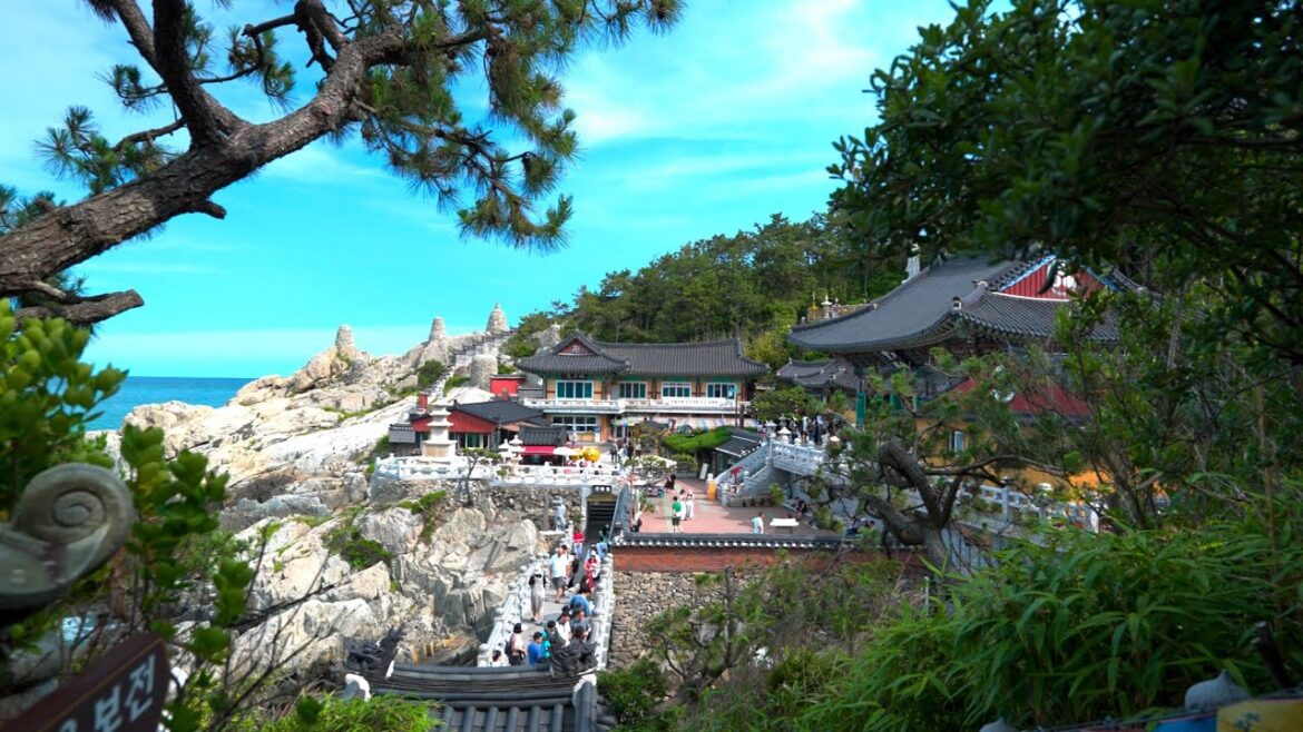 Walking tour from Yonggungsa Temple to Osiria Walkway|Travel Korea 4K HDR Walking tour from Yonggungsa Temple to Osiria Walkway|Travel Korea 4K HDR