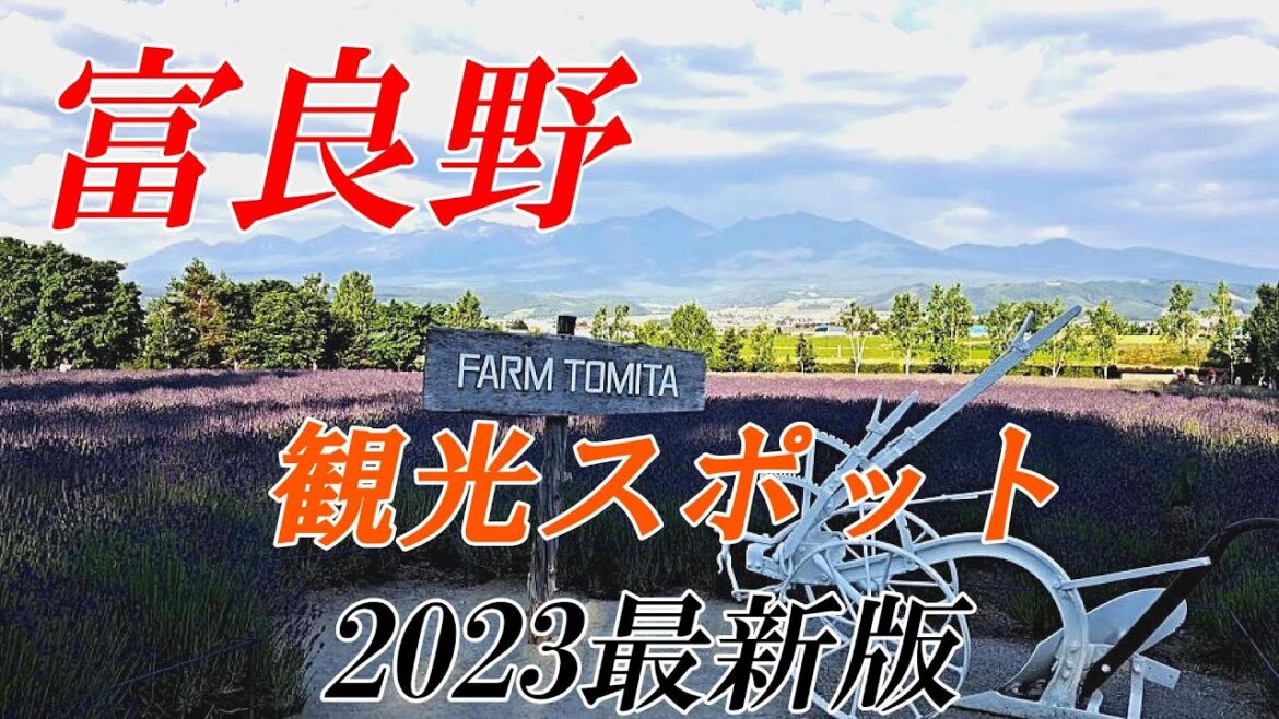 【北海道 富良野】初夏の富良野観光スポットの様子　２０２３最新版