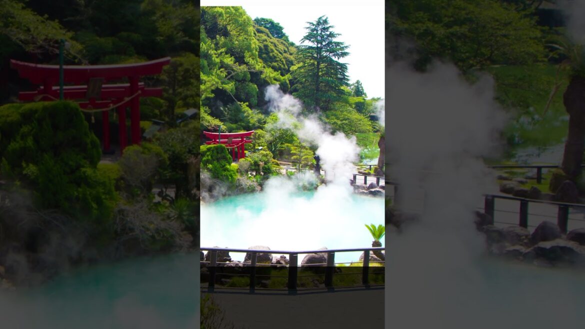 Uncovering Japan's Best-Kept Secrets #shortvideo #travel