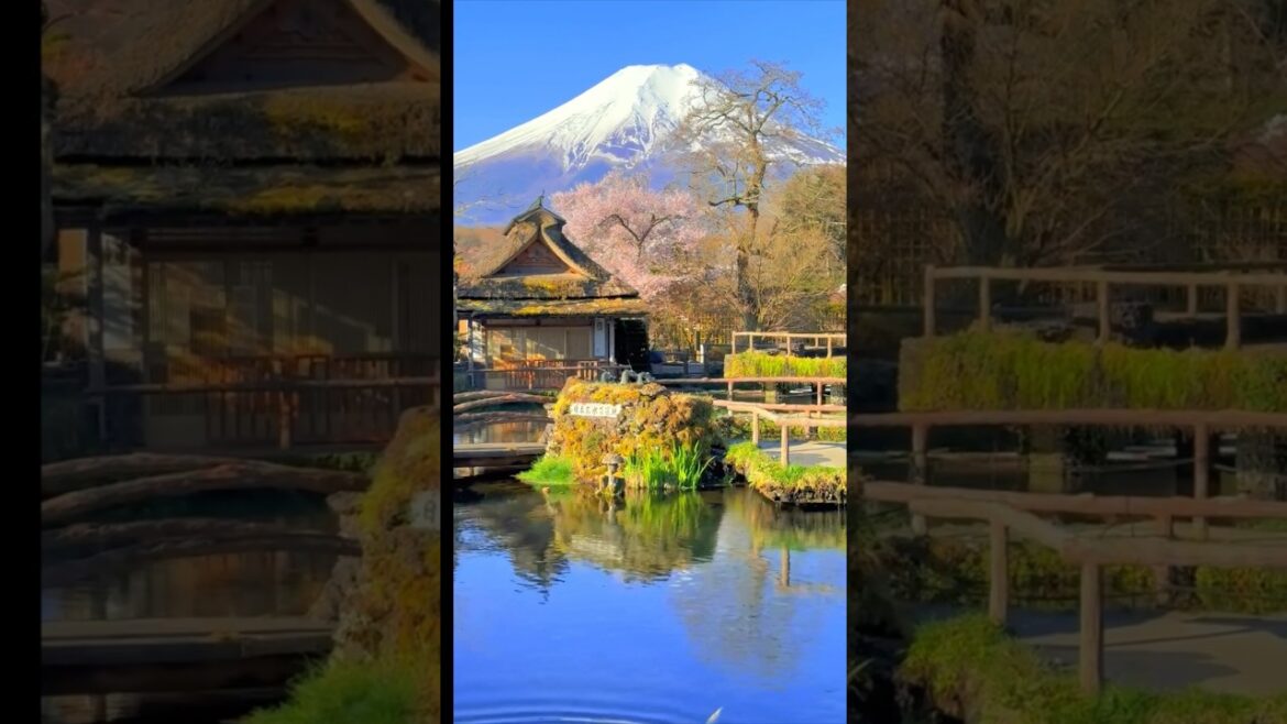 Experience Mt Fuji Japan #shorts #japan #fuji #tokyo