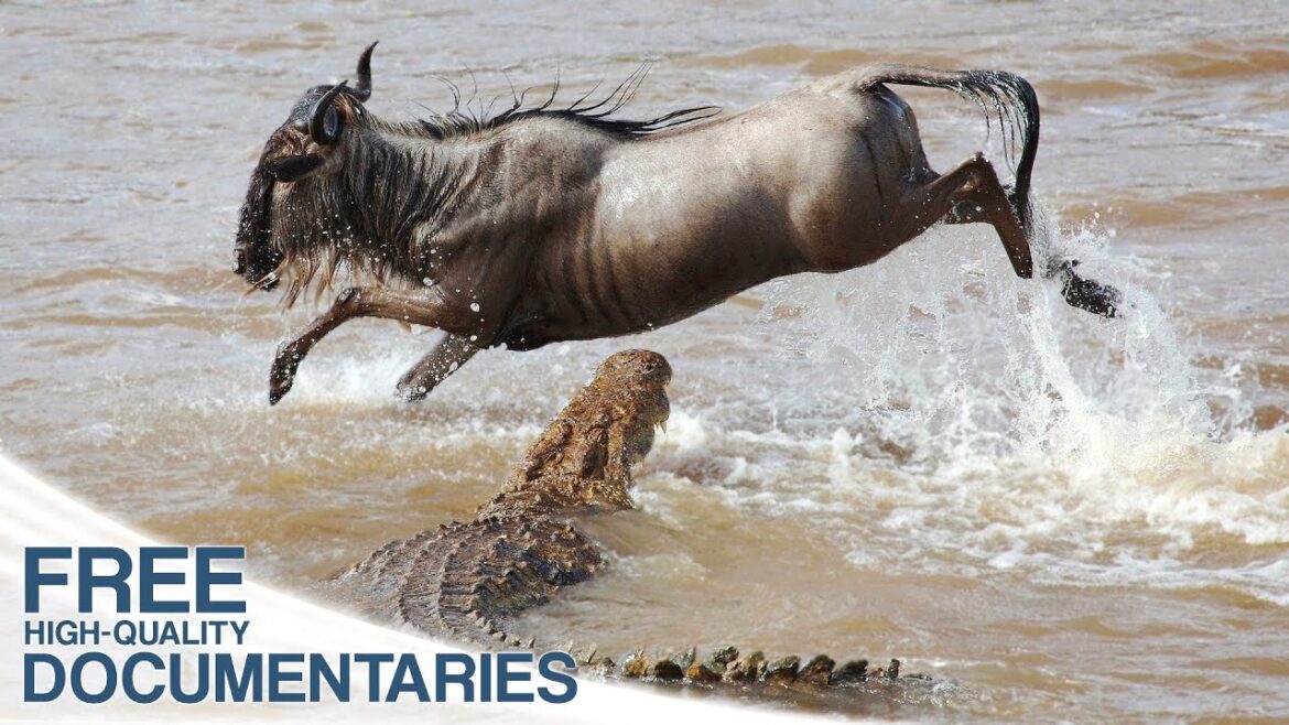 Hunting and being hunted in Kenya's Masai Mara