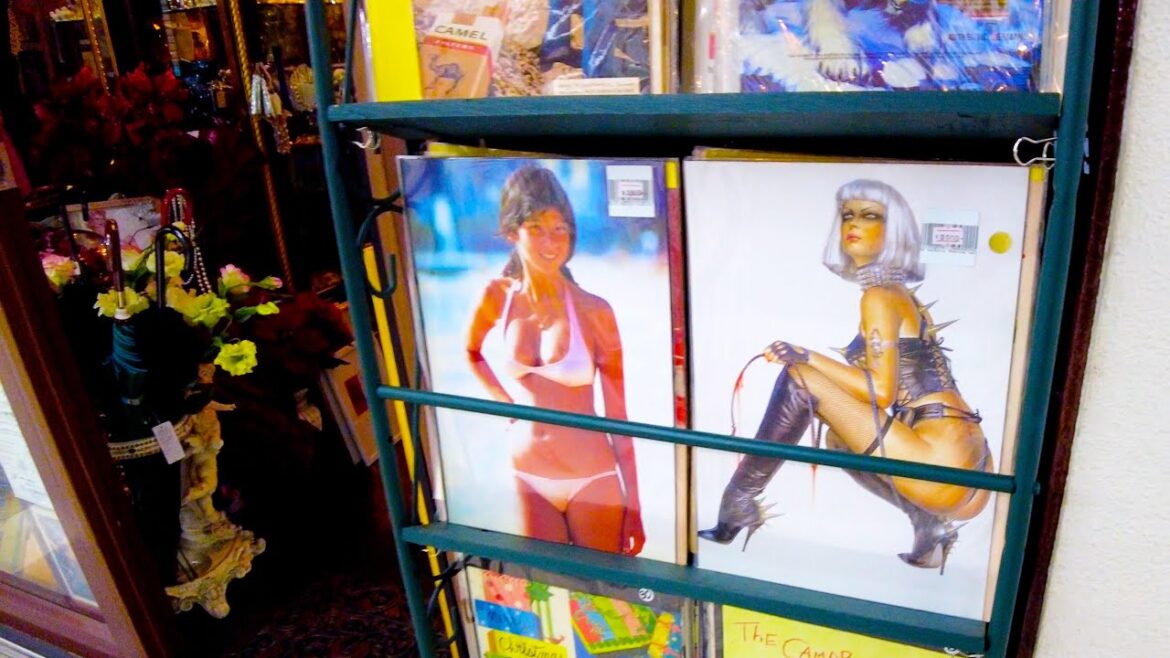 Nakano in Tokyo 🐶🍻 The Mecca of Manga and Anime♪💖4K ASMR Nonstop 1 hour 02 minutes