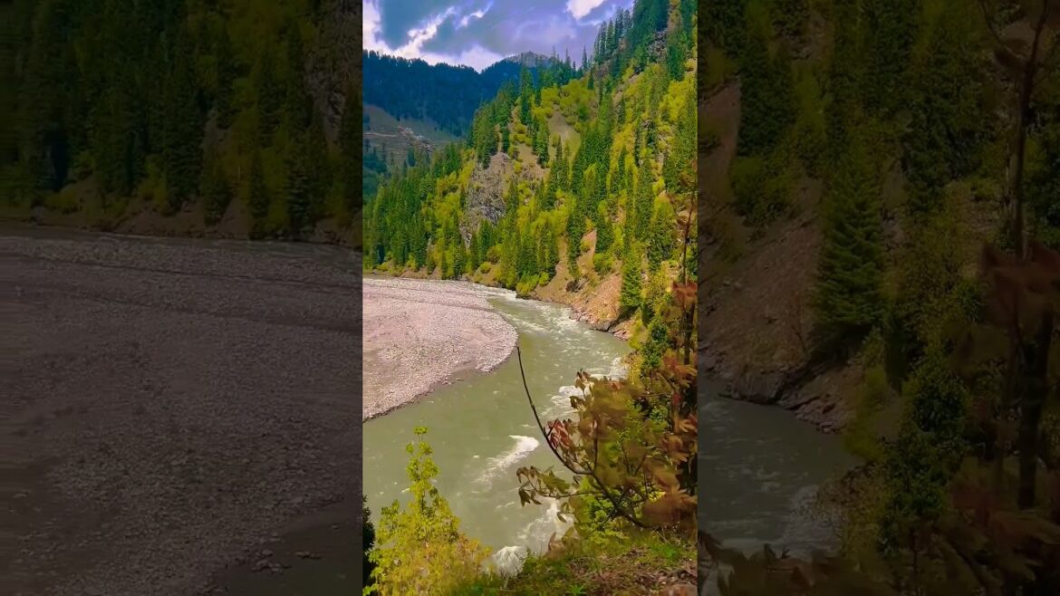 Laddka tour 😍🥰 #ssksumitrajsi #shorts #youtubeshorts #viral #tranding #travelling