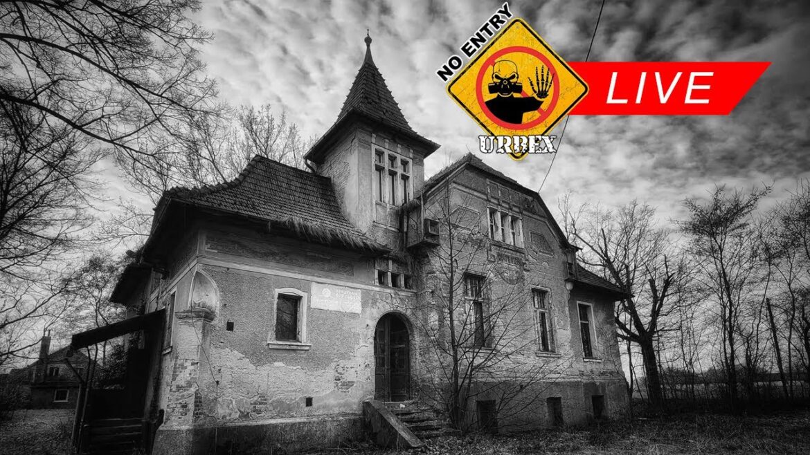 Imieninowy LIVE Pawła :) Imieninowy LIVE Pawła :)