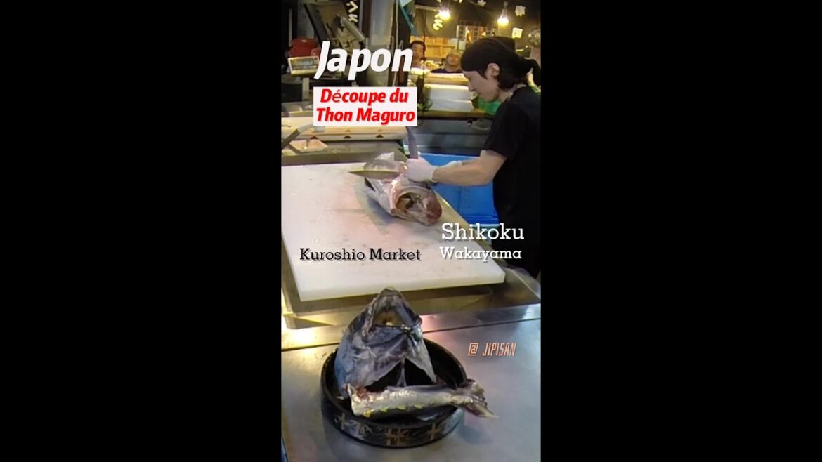 Wakayama Japon, découpe du Thon rouge. Maguro Cutting in Japan