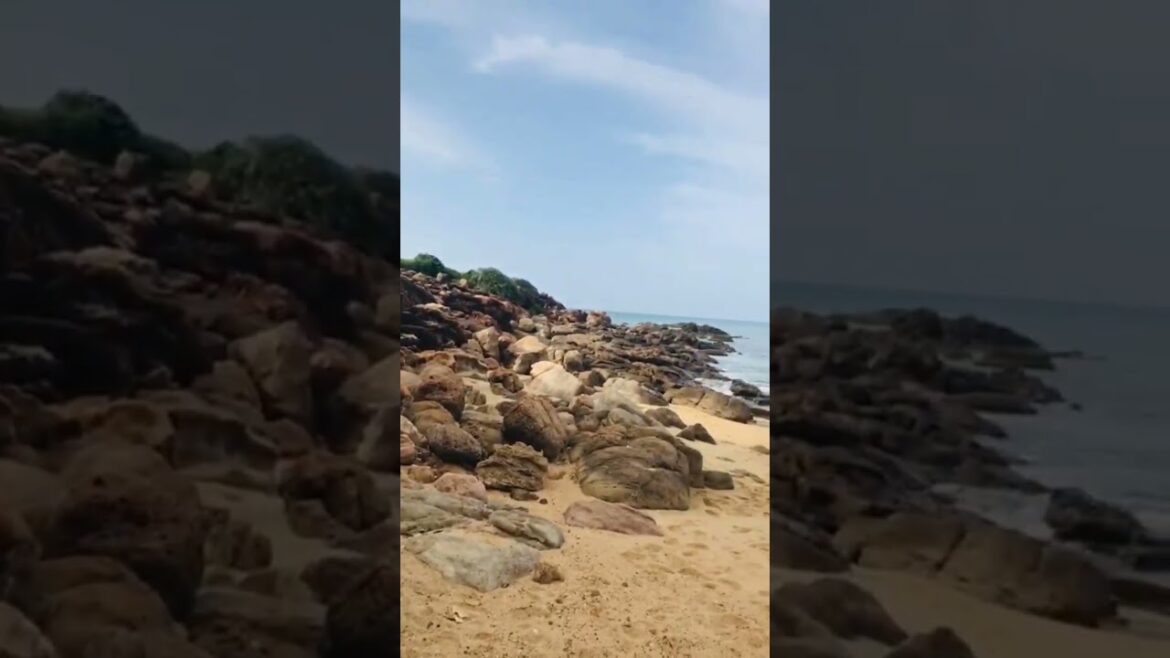 #shorts | sri lanka wonderful beach 😍🤩 travel vlog #youtubeshorts #short