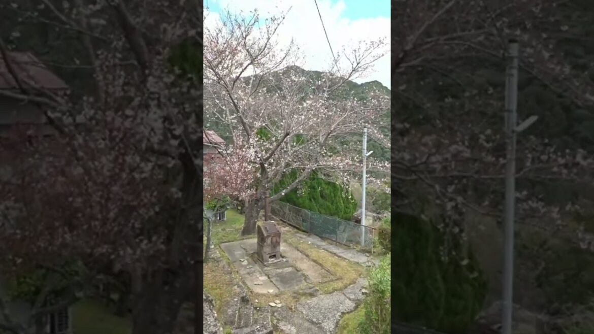 mountain view in japan mountain view in japan