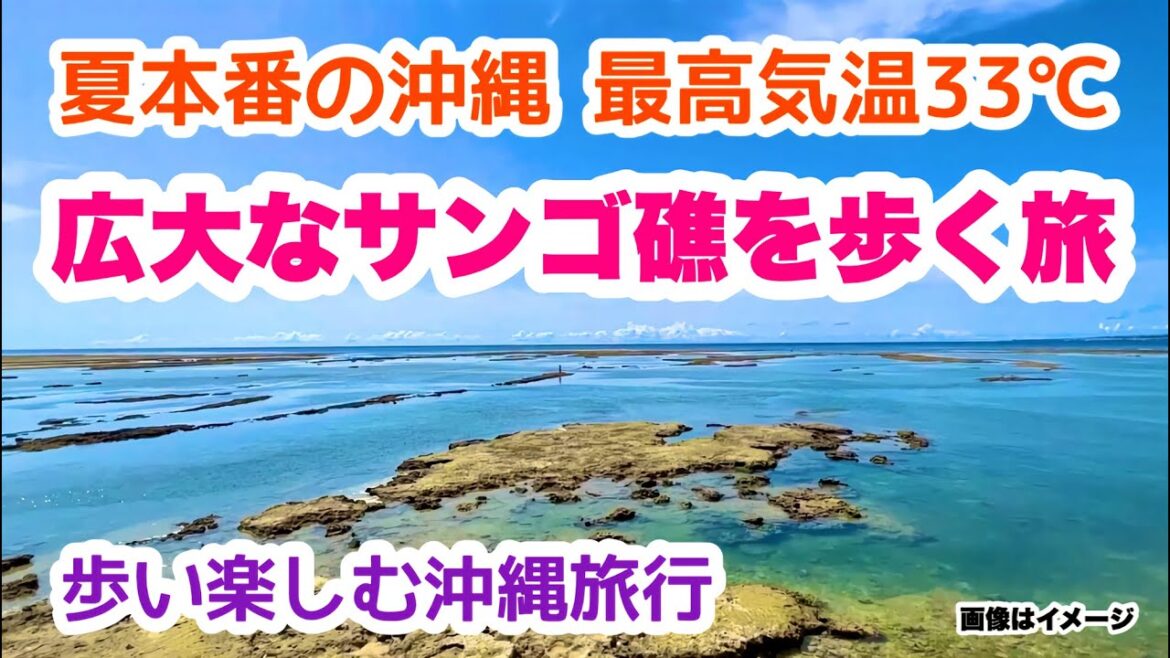 【歩いて楽しむ沖縄旅行】夏本番の沖縄!広大なサンゴ礁を歩くオンライン観光ガイド「沖縄旅行情報」 【歩いて楽しむ沖縄旅行】夏本番の沖縄!広大なサンゴ礁を歩くオンライン観光ガイド「沖縄旅行情報」