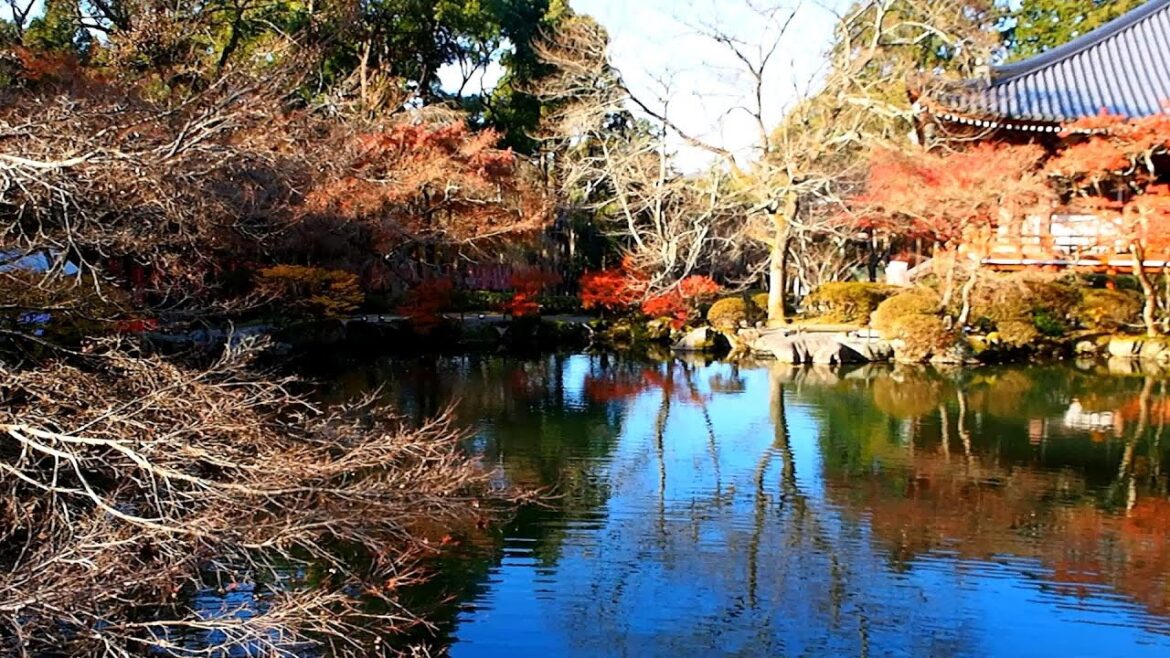 京都・醍醐寺 Daigo-ji,Kyoto.　紅葉Autumn Foliage.