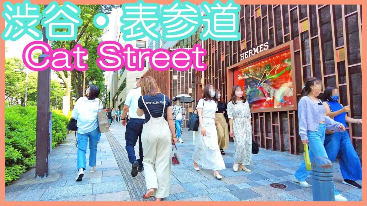 Tokyo walk 4K,Japan – a walk from Shibuya to Omotesando via Cat Street , 渋谷 から 表参道 散歩 Tokyo walk 4K,Japan - a walk from Shibuya to Omotesando via Cat Street , 渋谷 から 表参道 散歩