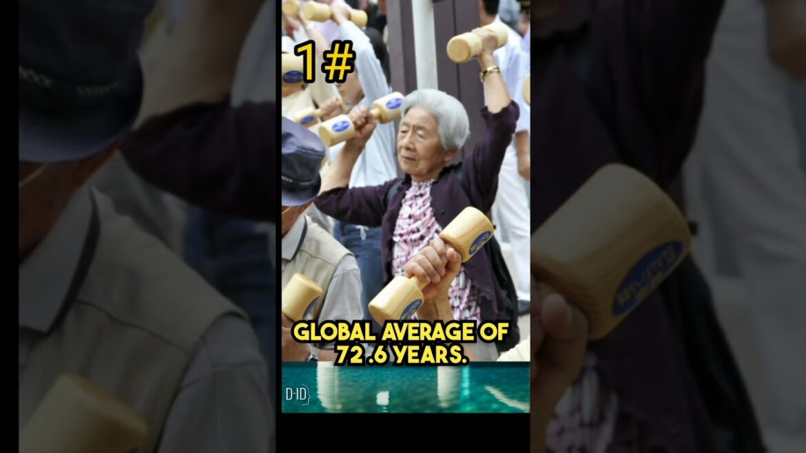 Intresting Facts About Japan #japan #shorts #youtubeshorts #travel Intresting Facts About Japan #japan #shorts #youtubeshorts #travel