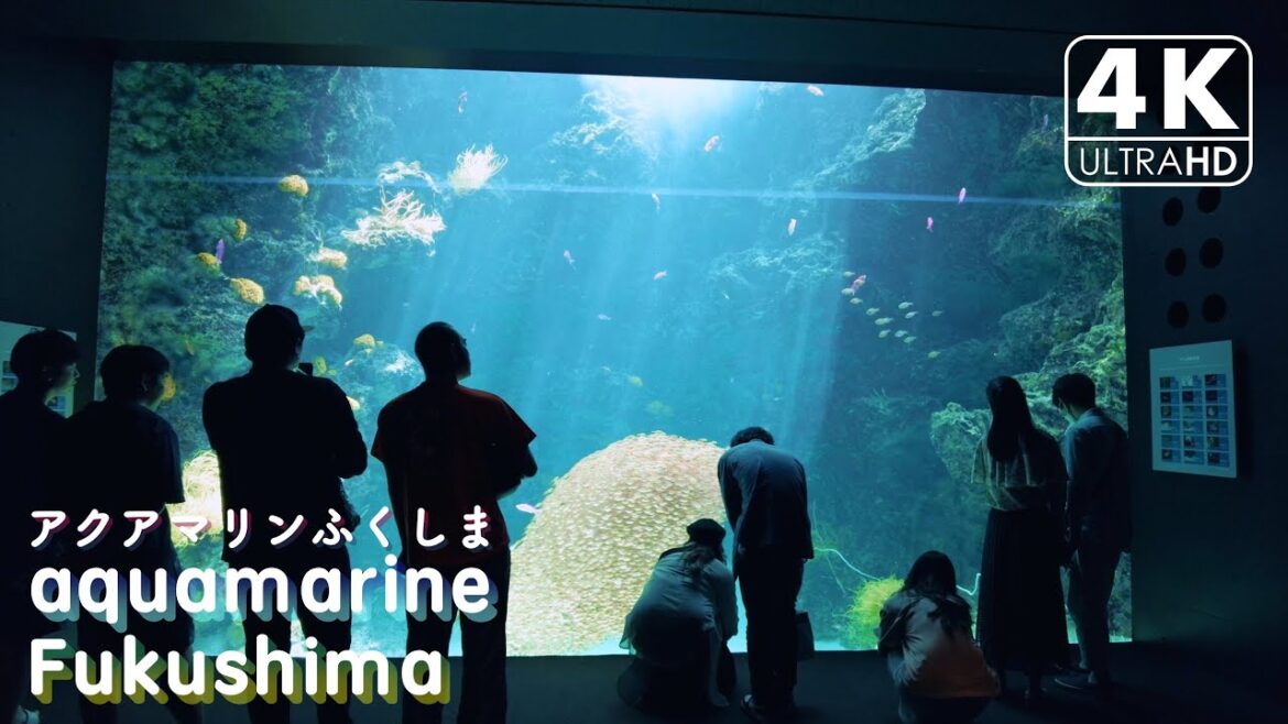 【4K】aquamarine Fukushima (Marine Science Museum, Fukushima Prefecture)（DJI Pocket 2）