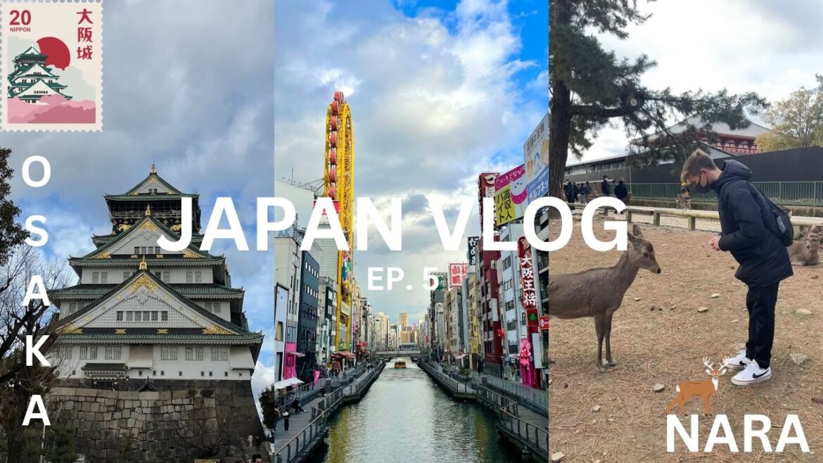 JAPAN TRAVEL VLOG: EXPLORING NARA & OSAKA | deer park, osaka castle, dotonbori & fishing restaurant