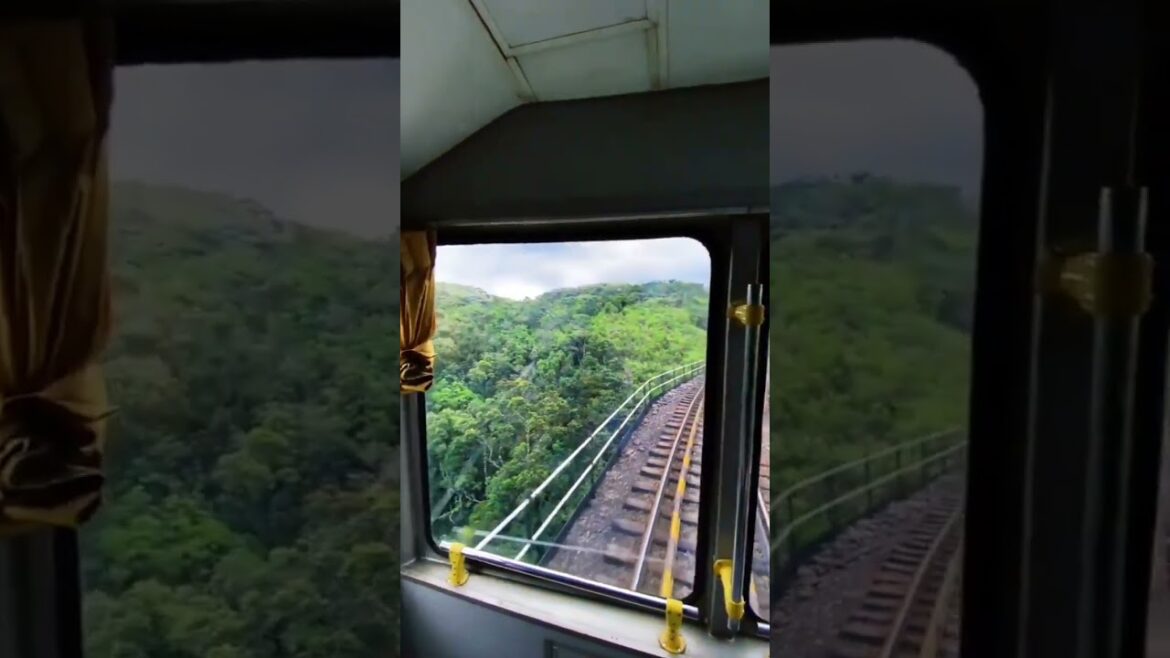 #shorts | travel vlog | sri lanka wonderful travel place #youtubeshorts #short #shorts | travel vlog | sri lanka wonderful travel place #youtubeshorts #short